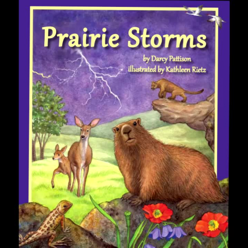 Prairie Storms Animal Sounds