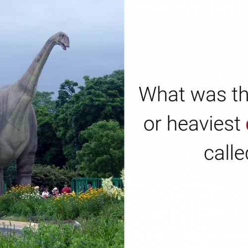 Fun Dinosaur Facts Episode 3 