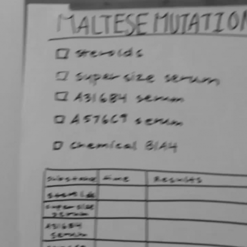 Maltese Mutation - A Silent Film