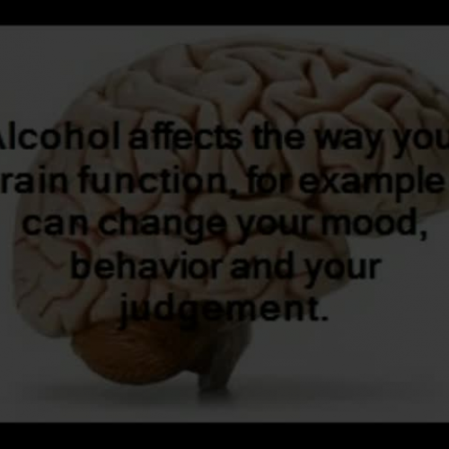 Alcohol and Your Body