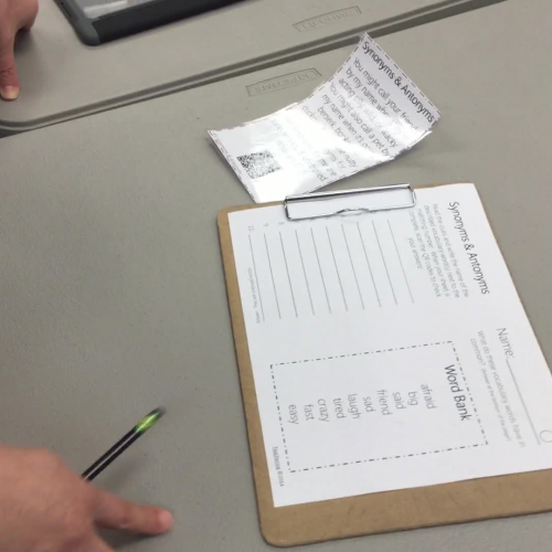 Antonyms and Synonyms Task Card Workstation