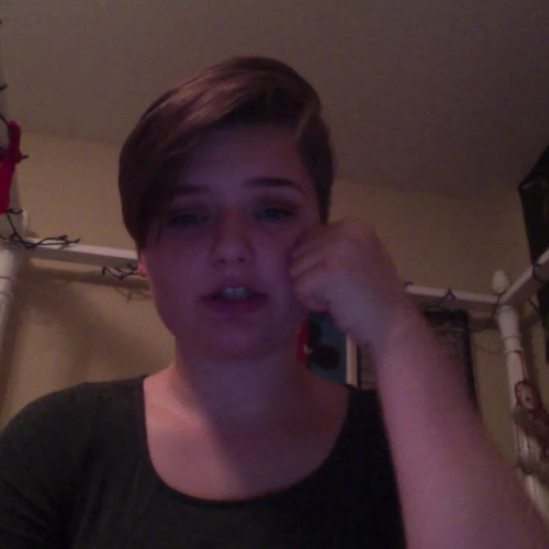 3.02 Describe The Family Visual Presentation