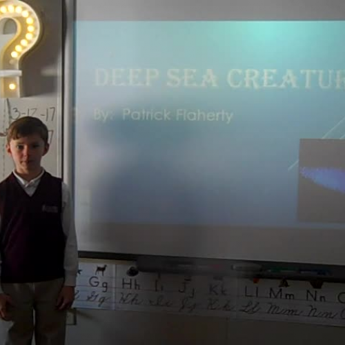 Deep Sea Creatures 