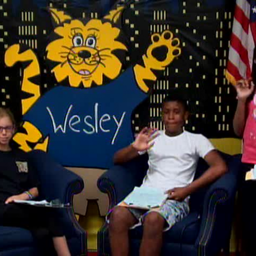 Thursday, March 30, 2017, WVES Wildcat News