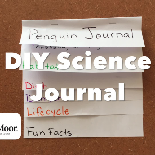 DIY Science Journal