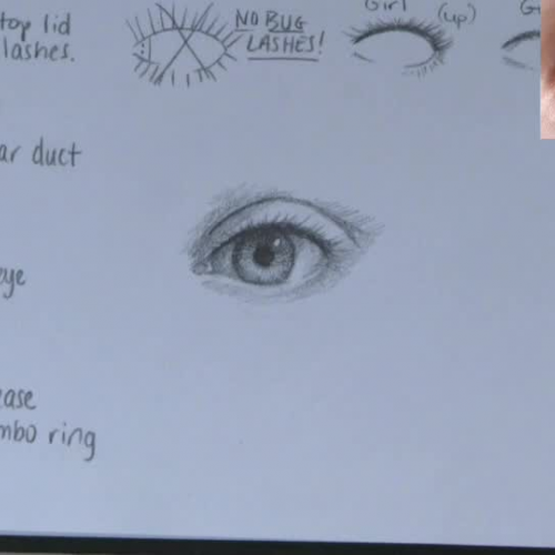 Drawing an eye from a reference