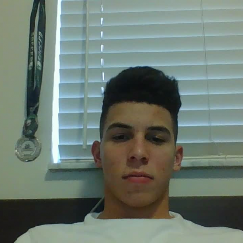 3.2 Describe the Family