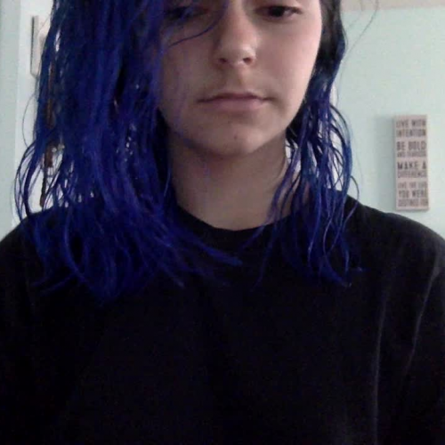 3.02 Describe The Family Visual Presentation