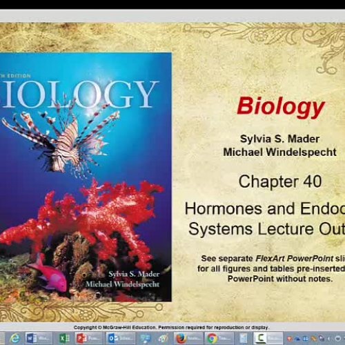 Chapter 40 Endocrine