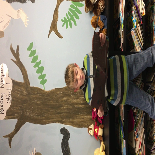 SES Ethan Book Review 