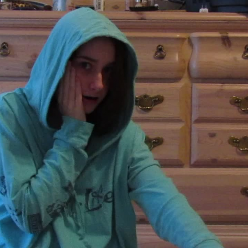 3.02 visual presentation, FLVS