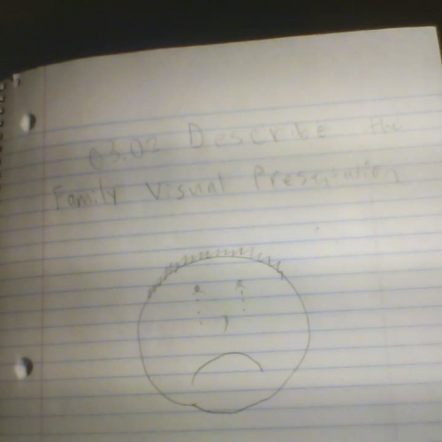 O3.02 Describe the Family Visual Presentation