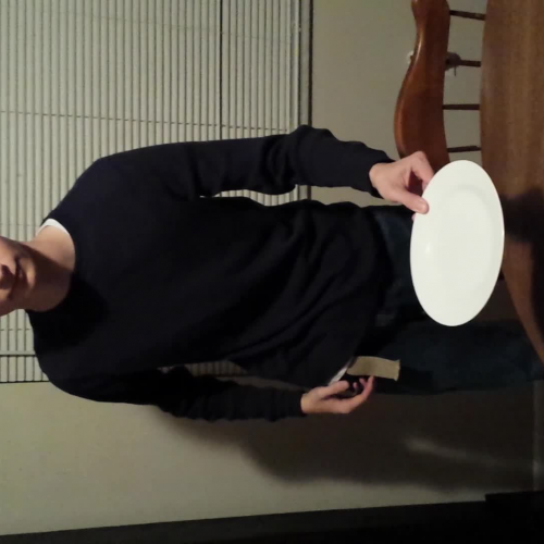 3_02 Describe the Family Visual Presentation