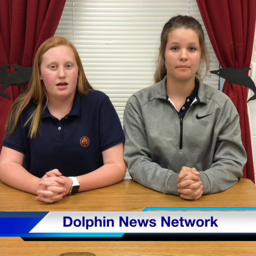 Dolphin News Network - 4 12 17