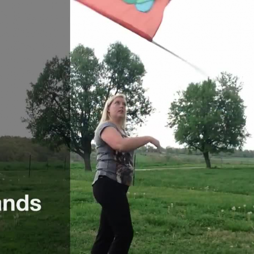 Flag Backhands - How to color guard