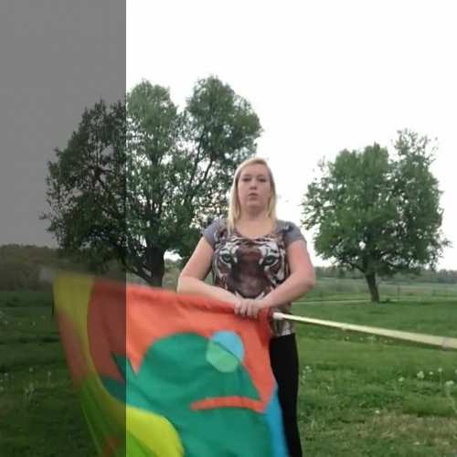 Sixlets on Flag - How to color guard