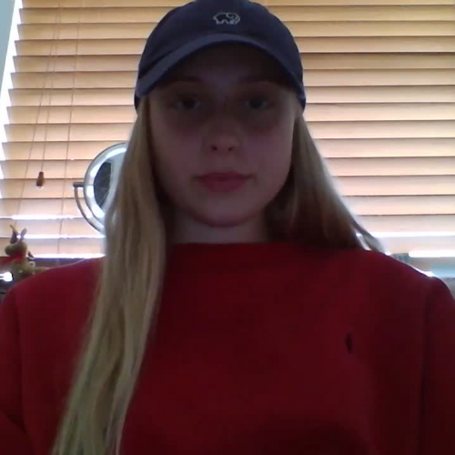 3.02 Describe the Family Visual Presentation 