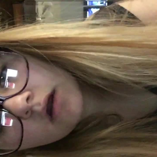 3.02 Describing the Family Visual Presentation