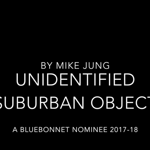 Texas Bluebonnet Award - Unidentified Suburban Object by Mike Jung