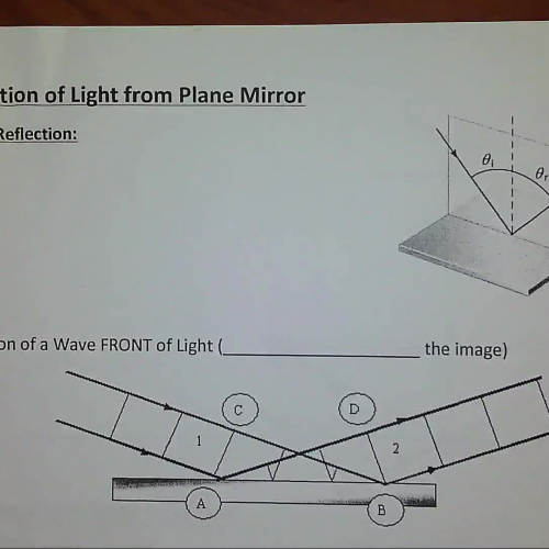 Reflection of Light from a Plane Mirror