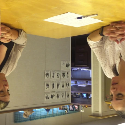 Behavior-Change Procedures: Video 1, Part 2 EDUC438.6