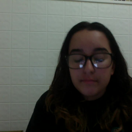 3.02 Describe the Family Visual