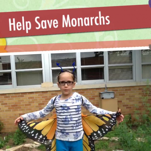 Help Save Monarchs