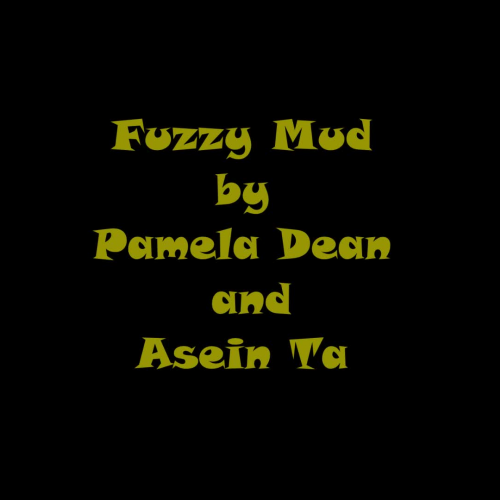 Fuzzy Mud