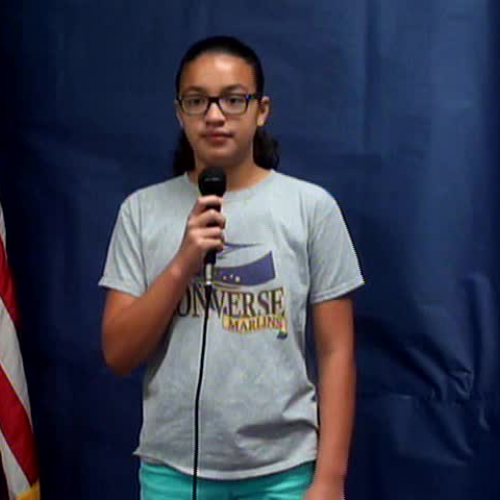 Monday, May 1, 2017 WVES Wildcat News