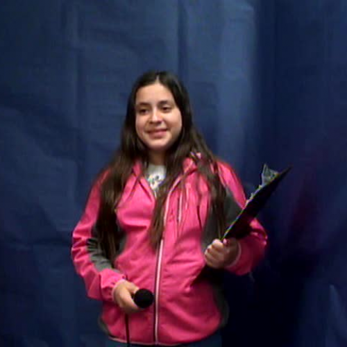 Wednesday, May 3, 2017, WVES Wildcat News