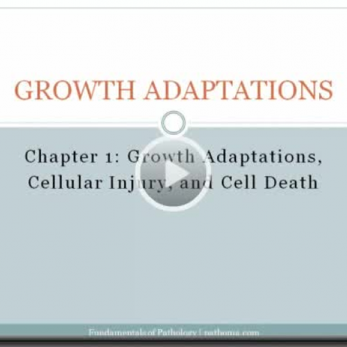 Growth Adaptations, Cellular Injury, and Cell Death