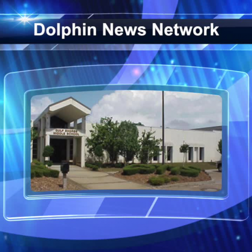 Dolphin News Network - 5.5.17