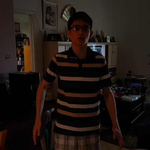 03.02 Describe the Family Visual Presentation