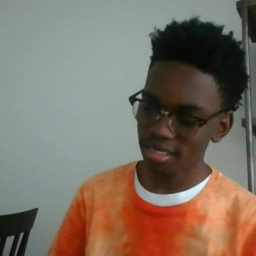 03.02 Describe the Family Visual Presentation