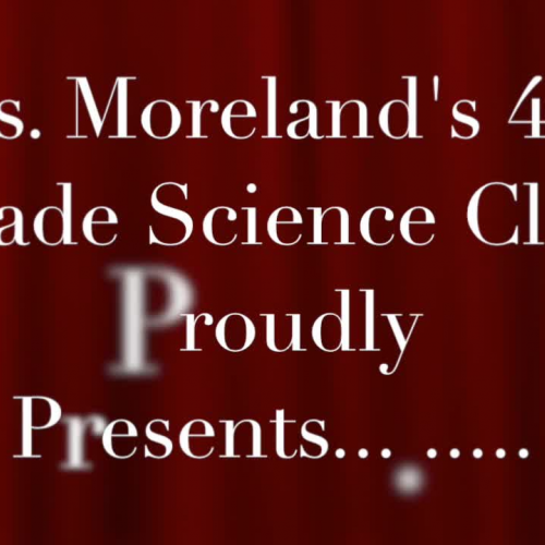 Ecosystem Greenscreen Movie Room 205