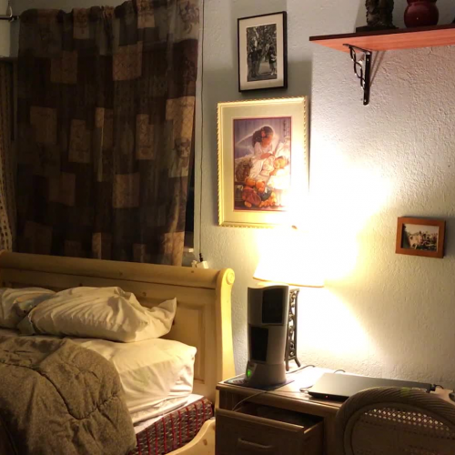 03.02 Describe the Family Visual Presentation: