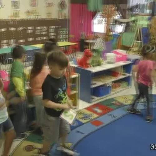 Breadth of Observation Clip