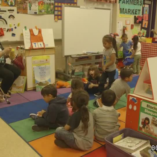 Depth of Observation  Clip