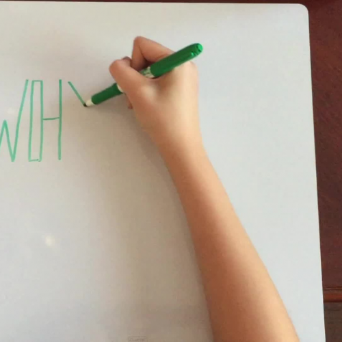 Dawson High School Q&A: Why are Plants Green?