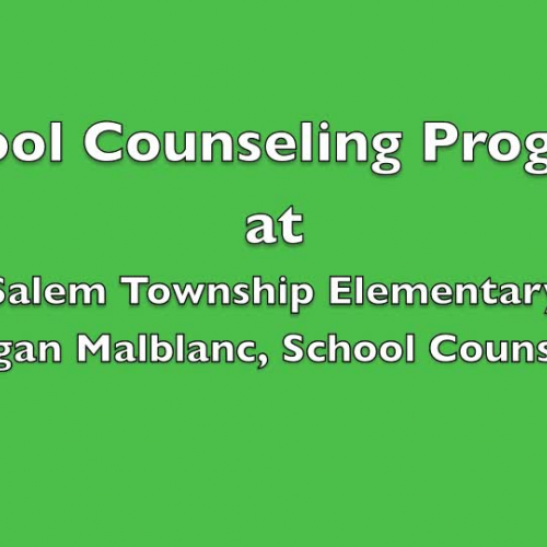 Salem Counseling Program
