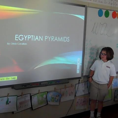 olivia discovery quest