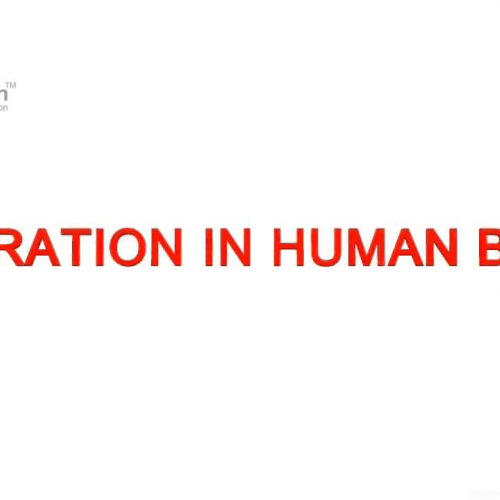 Life Process - Respiratory System