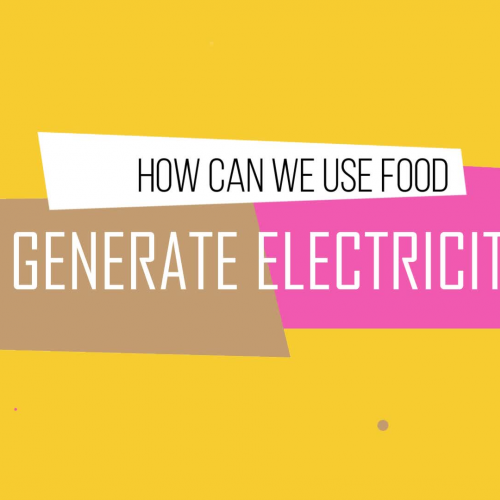 Dawson High School Q&A: How Can We Use Food to Generate Electricity?