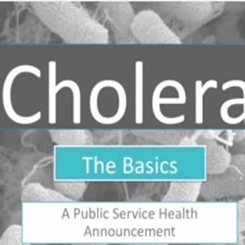 Cholera