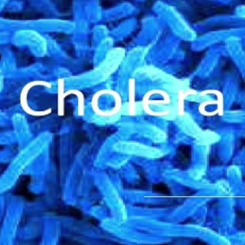 Cholera Public Service Health Announcement - Karisa Thede GCU HLT-555