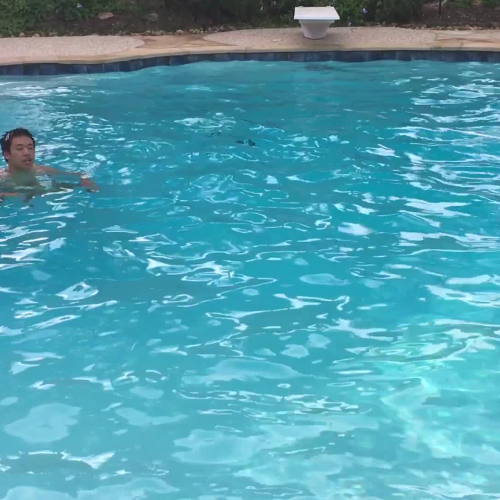 Dawson High School Q&A: Why Shouldn't You P in the Pool?