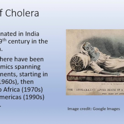 PSA: Cholera