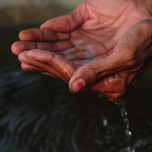 Cholera Public Health Service Annoucement 