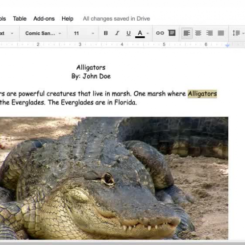 How to Add a Comment Using a Google Doc