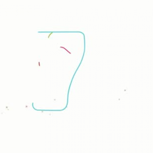 Human Skeletal System